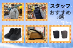 5 staff recommended items vol.12! (December 2024)