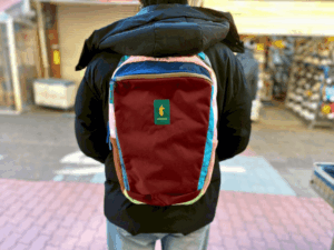 Cotopaxi Allpa Daypack 18L worn image