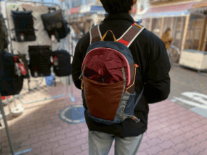 Cotopaxi Elqui 18L Backpack worn image